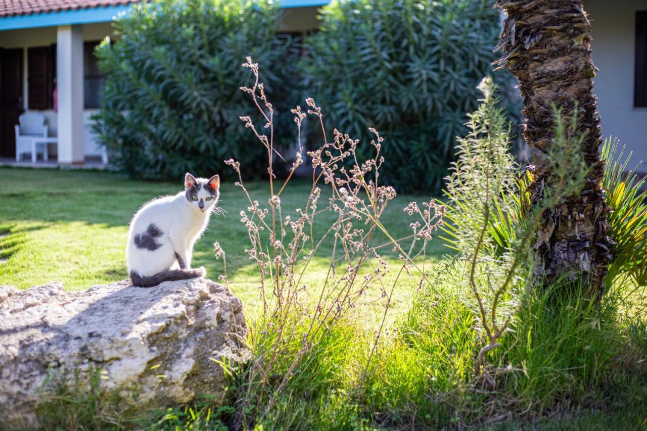 Agriturismo Is Cortillaris Càbras Екстериор снимка